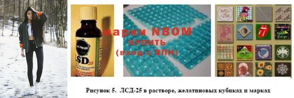 твердый Гусиноозёрск