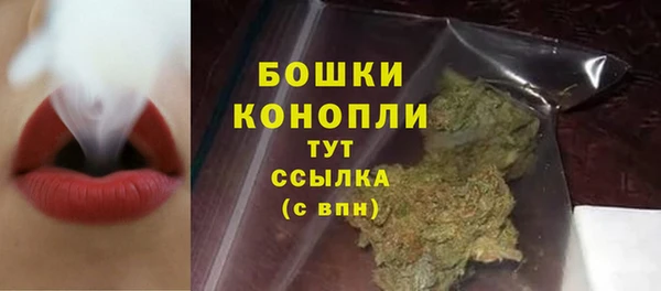 тгк Гусь-Хрустальный