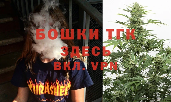 тгк Гусь-Хрустальный