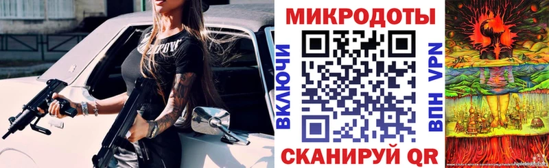 Галлюциногенные грибы Psilocybe Гусиноозёрск